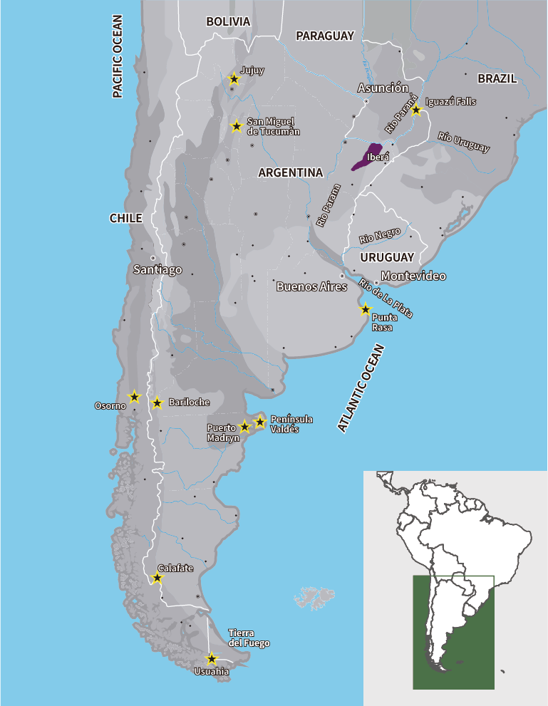 Iberá Wetlands Buenos Días Birding